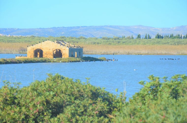 Just few meters away there is the wonderful archeo-nature reserve of Vendicari, a Paradise on Earth: ruines from the past (Greeks, Romas, Byzantines, Aragoneses), beaches, birdwatching spots