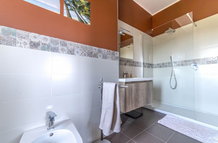 Bathroom with shower in the master bedroom